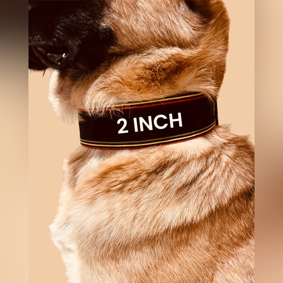 0.75” Dog Collar- Paws and bones, Paw Prints, Paw Print Dog Collar, Dog Collar - Picture 14 of 15